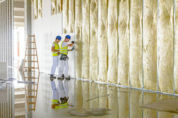 Best Specialized Insulation Services in Lucerne, CA